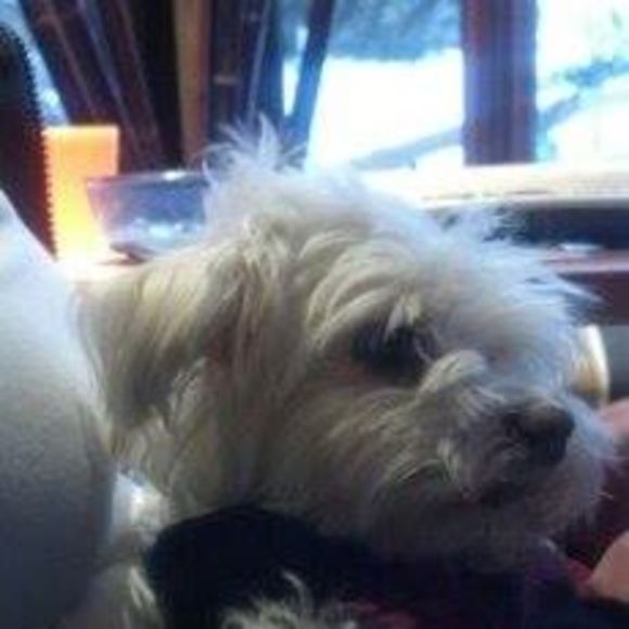 Meet your Posher, Randi - Picture 1 of 1